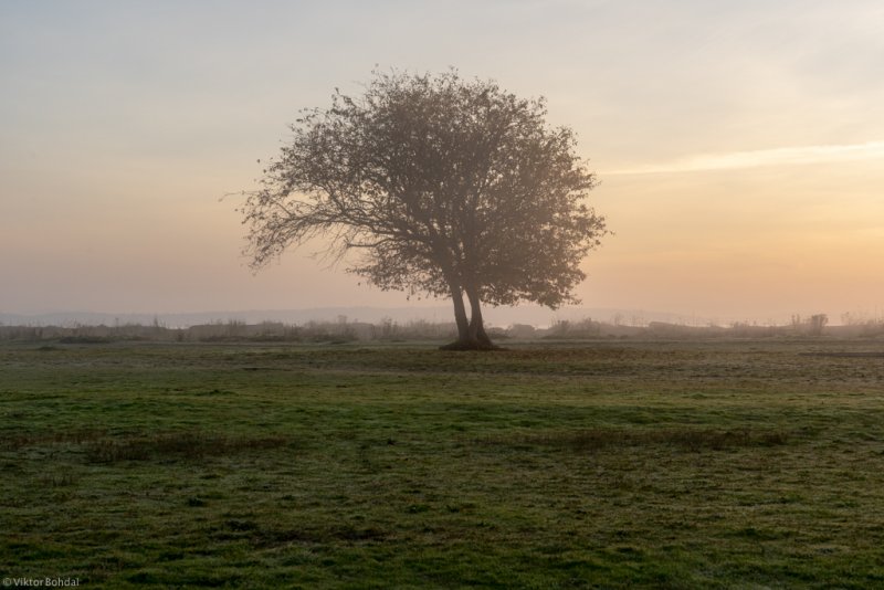 Fotografie 139/290